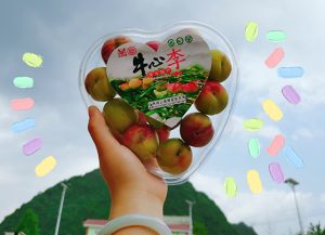 矿山开采施工资质团队要备哪些证？办证顺序和现场经验