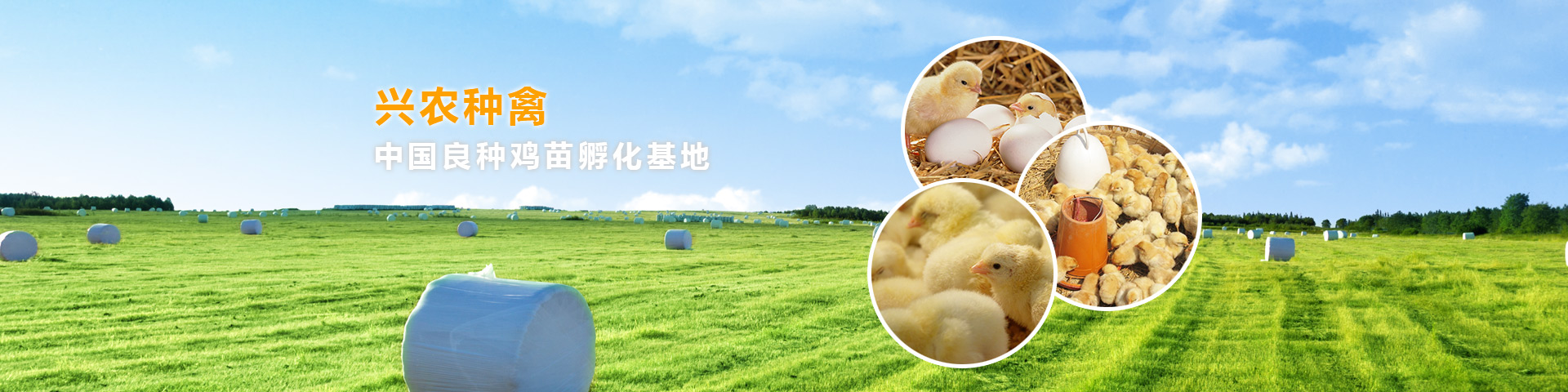 石材加工协议书范本，装之前先看这几处